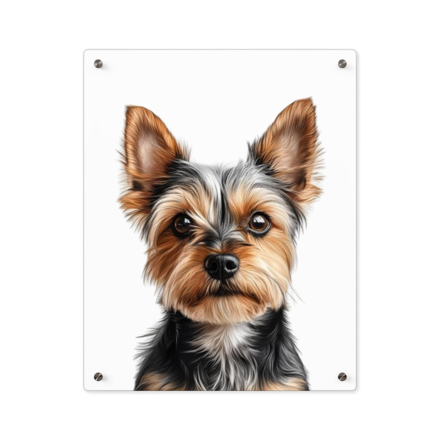 Pet Custom Photo Acrylic Wall Art Panels