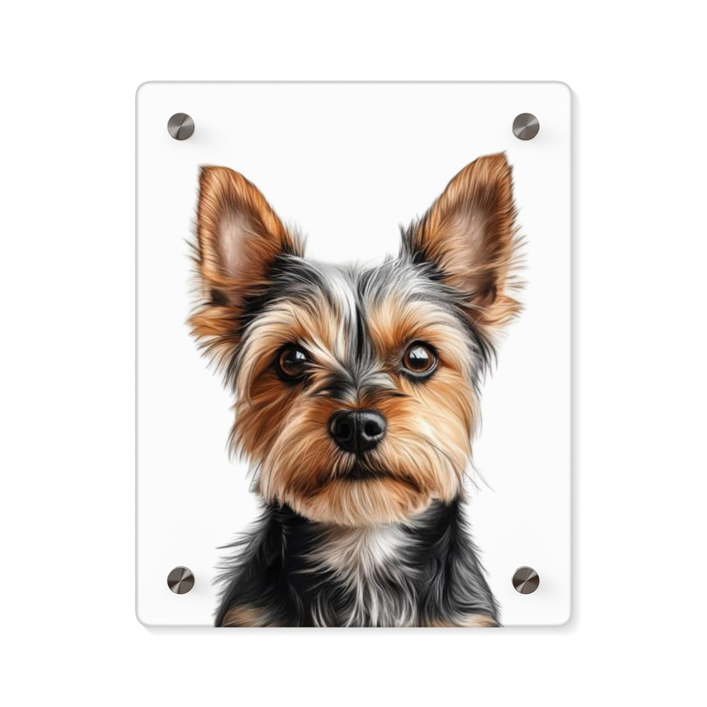 Pet Custom Photo Acrylic Wall Art Panels