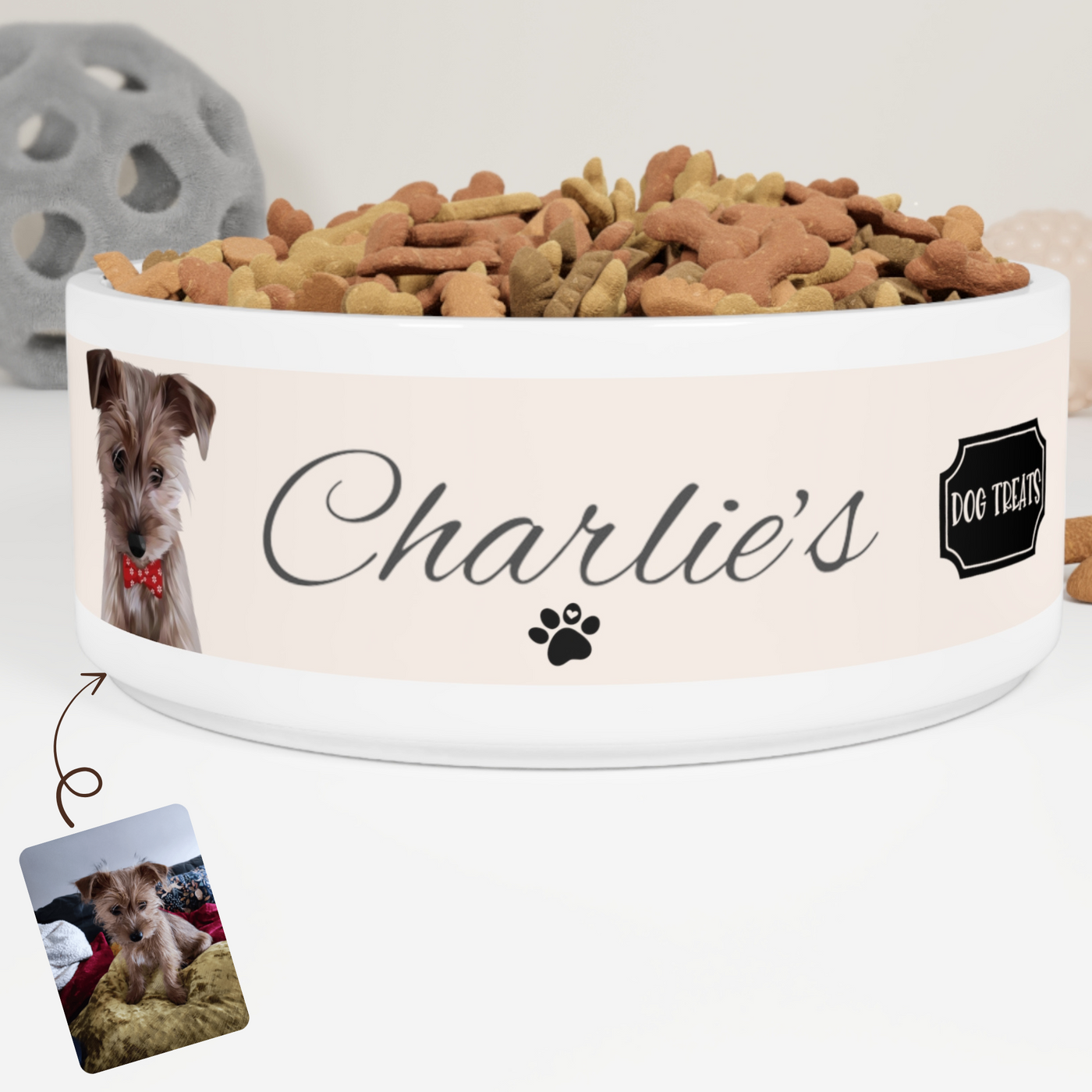 Custom Dog Bowl