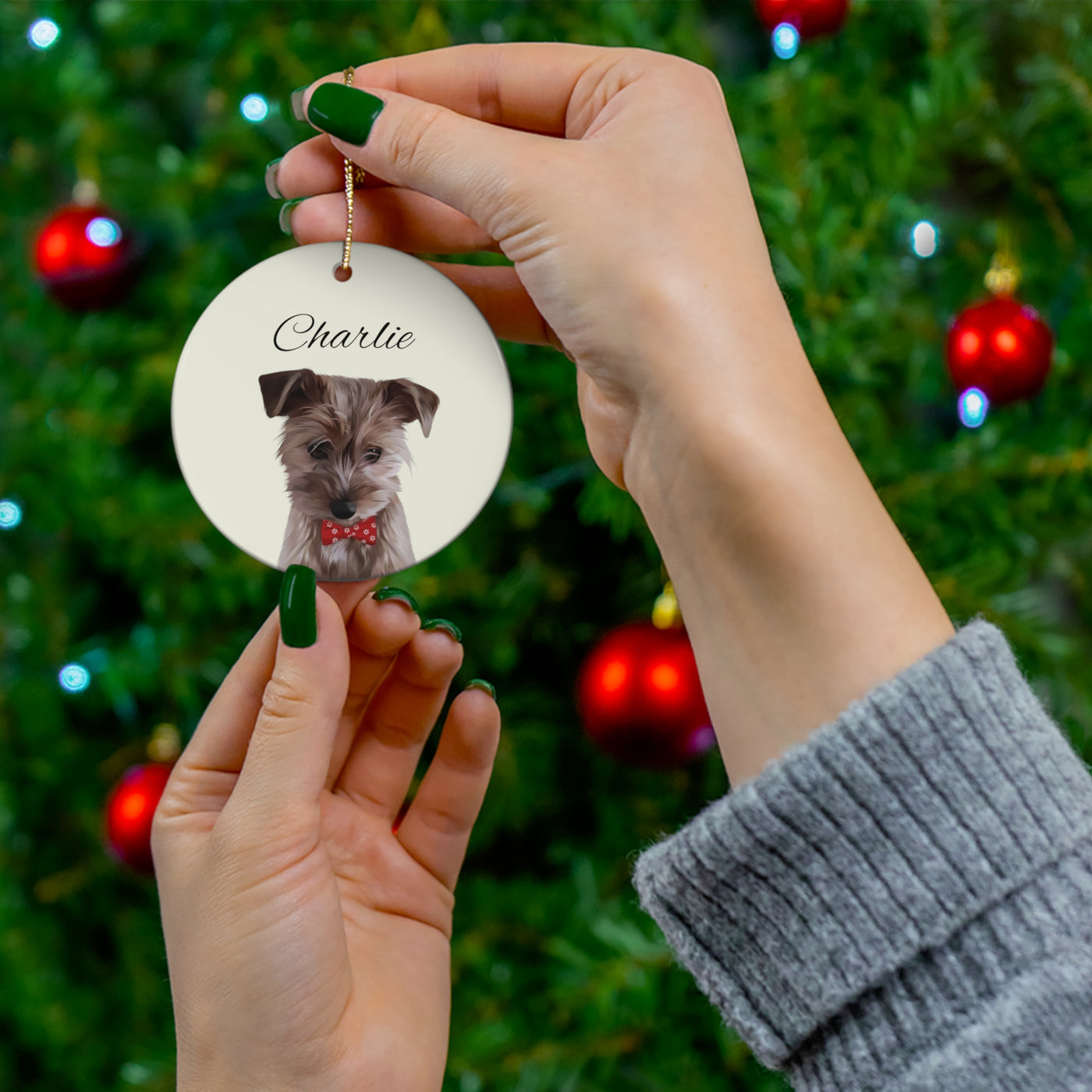 Personalized Dog Ornaments x 2