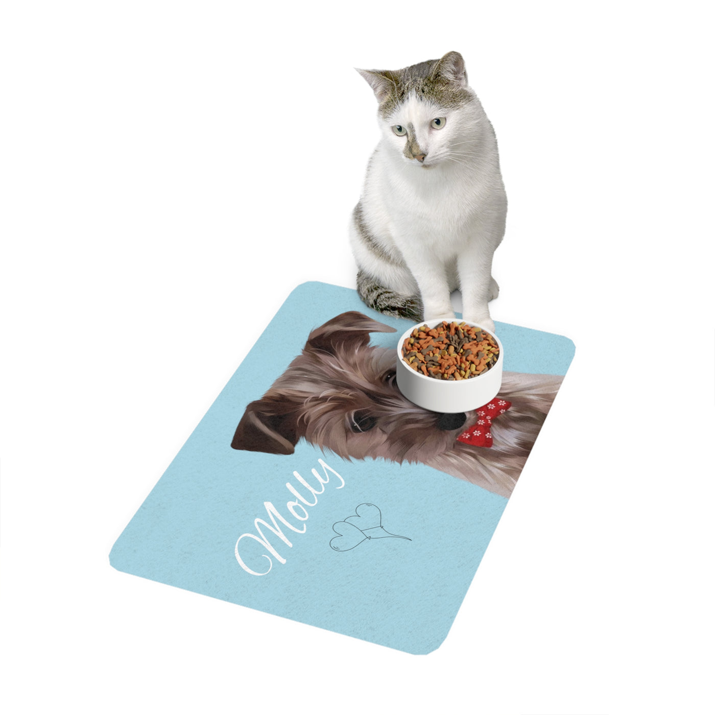 Custom Dog Food Mat3