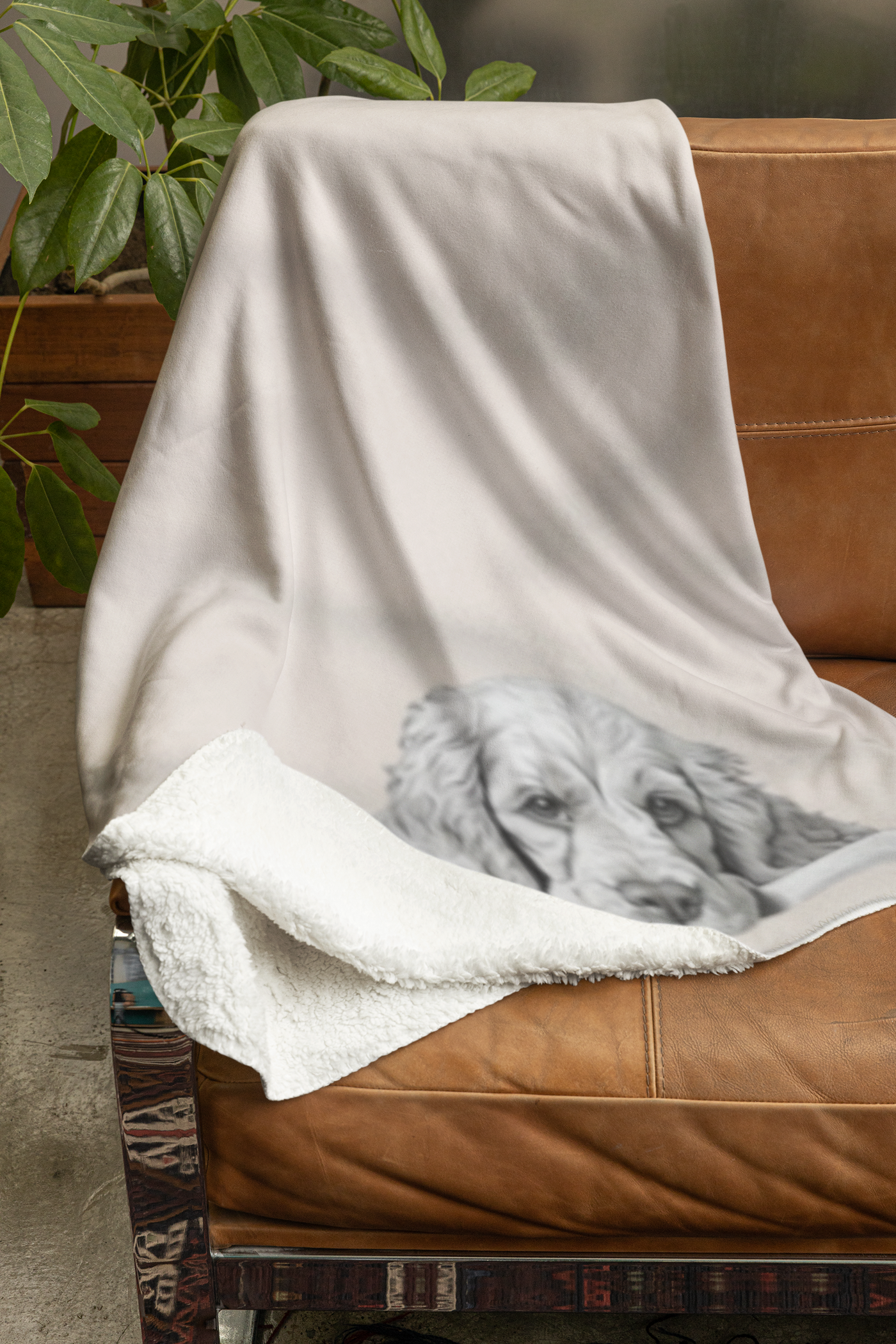 Dog Blanket, Springer Spaniel