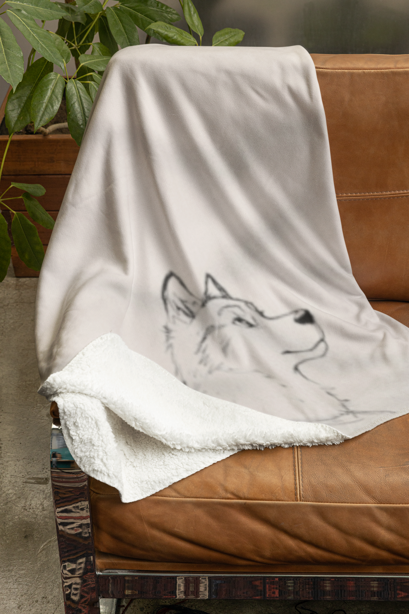 Husky Blanket