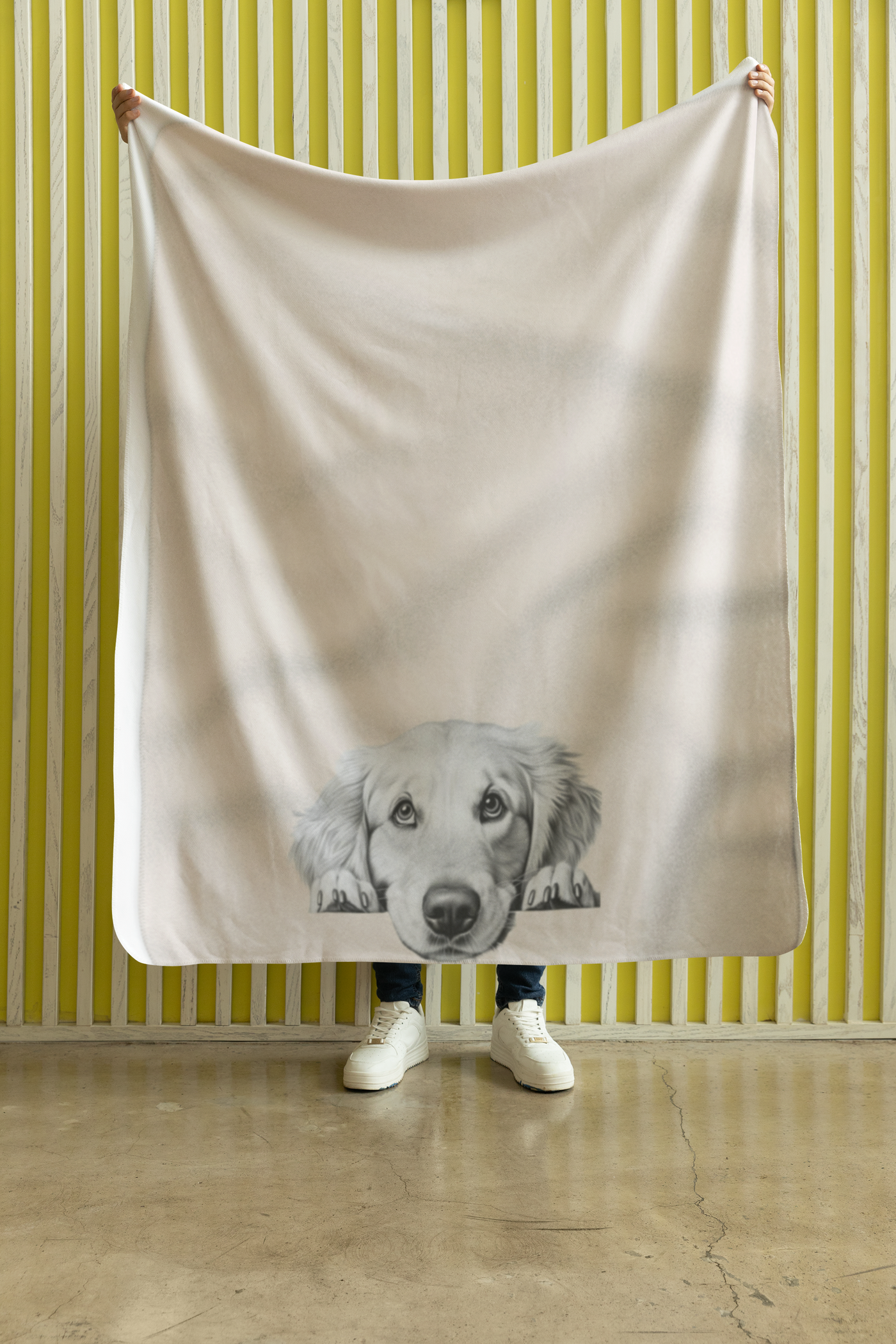 Labrador Blanket1