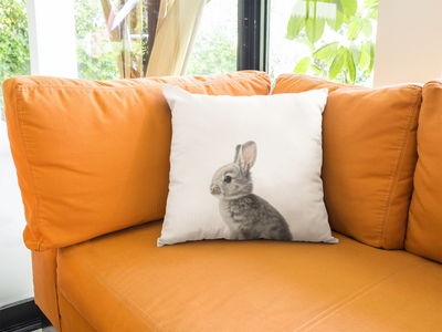 Rabbit Pillow