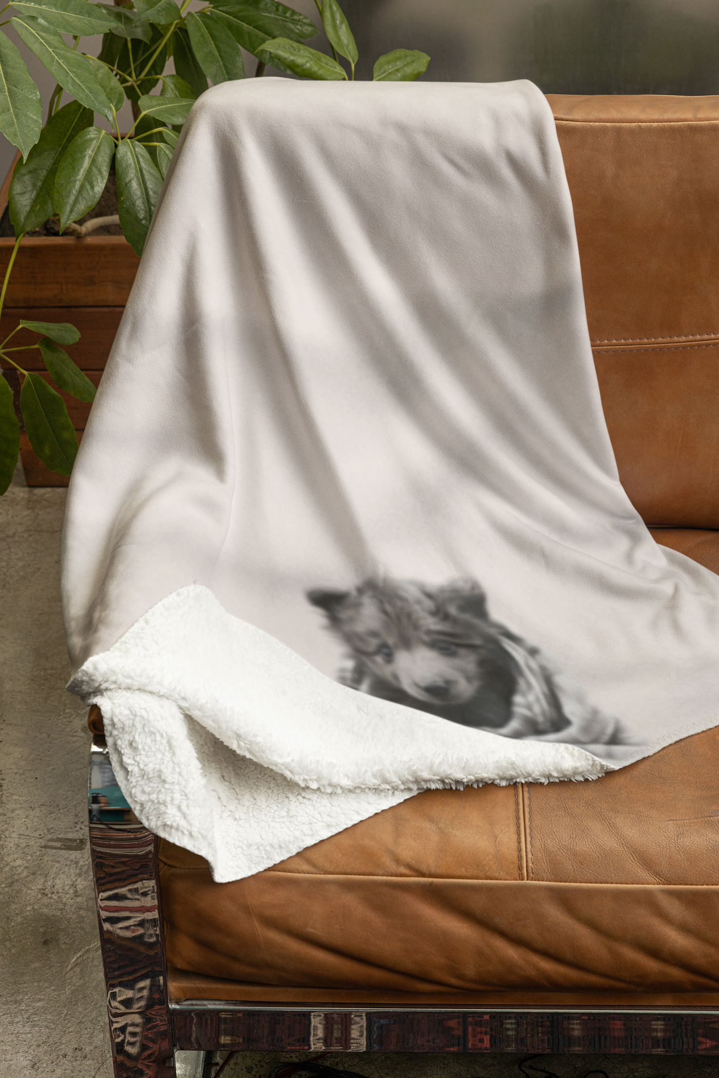 Bear Sherpa Fleece Blanket