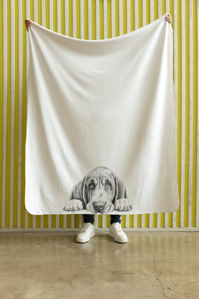 dog blanket boodhound