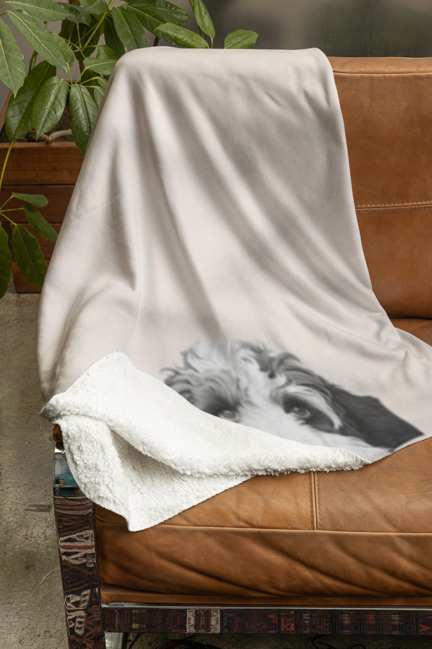 Sheepdog Sherpa Fleece Blanket